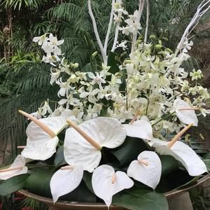 Meet your Posher, Joan